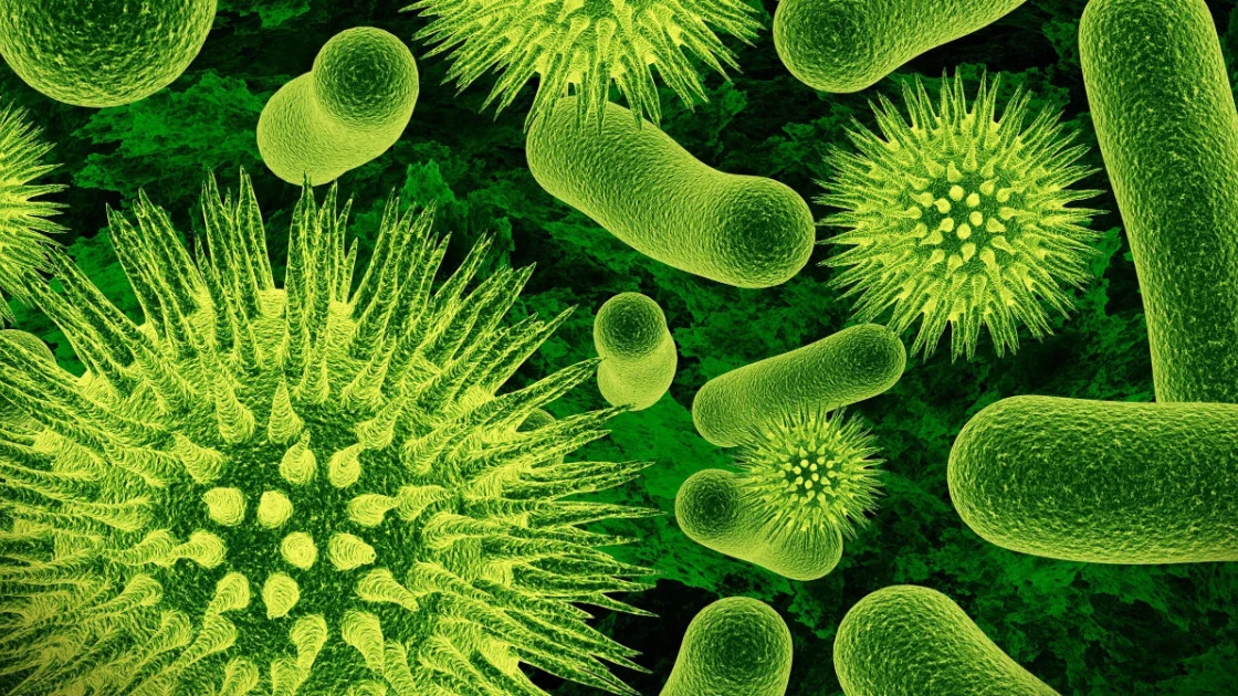 Sanitização de Ambientes